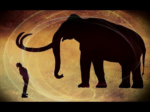 Language of the Land: The California Serengeti