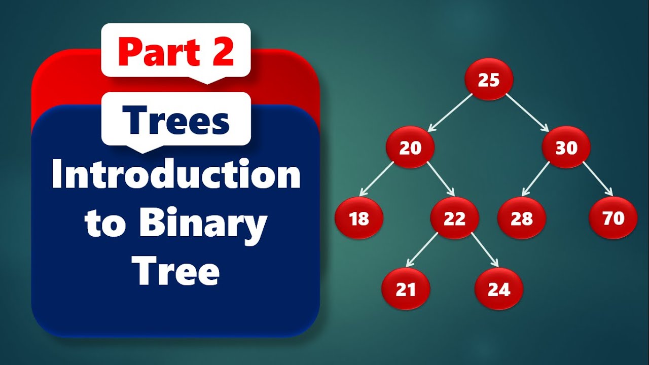 Introduction to Binary Trees | Trees #2