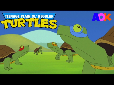 TEENAGE PLAIN OL' REGULAR TURTLES