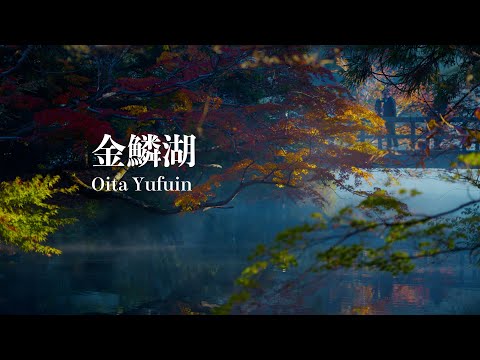 【大分の絶景/2024秋】金鱗湖/朝霧と紅葉#japantravel #fx3#cinematic