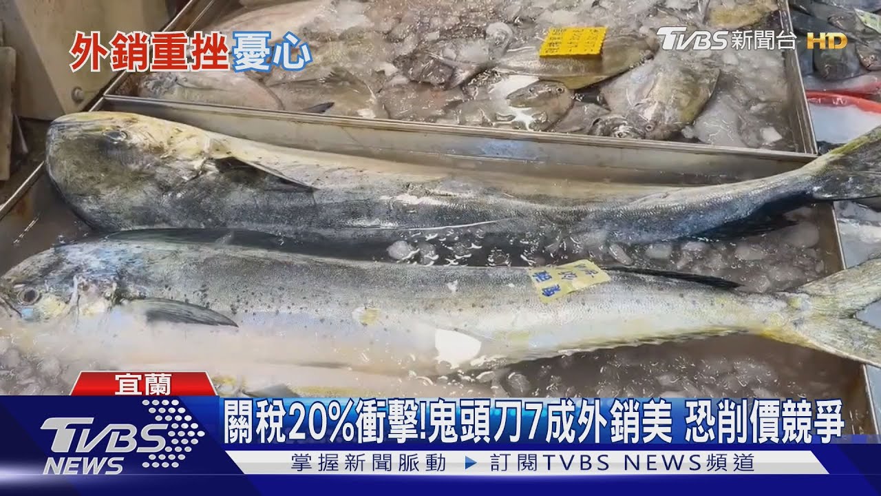 20%關稅重擊漁業!鬼頭刀7成外銷美國 漁民嘆:影響生計