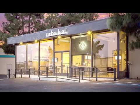 Urbn Leaf Seaside Reviews