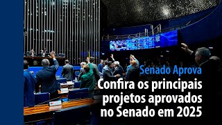 Senado Aprova: confira os principais projetos aprovados no Senado em 2025