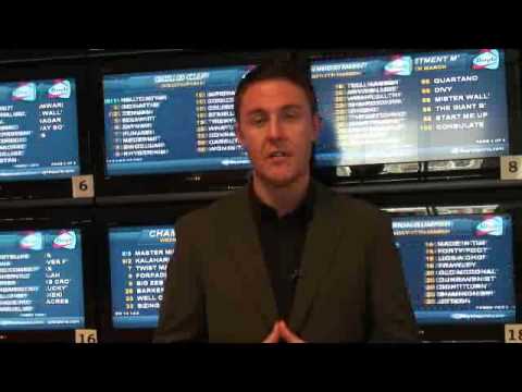 Champion Hurdle - Cheltenham 2010