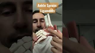 Find out what ligament you injured after ankle sprain