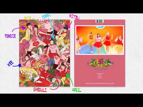 『✭IRCOLLAB』OH MY GIRL / Coloring Book