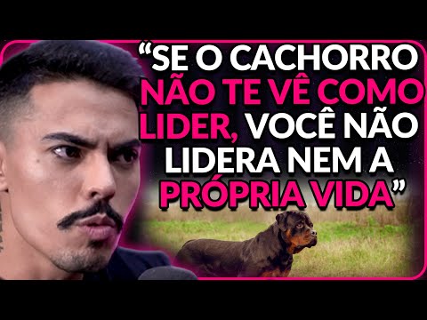 GET A DOG BEFORE DATING