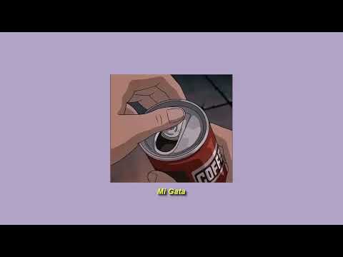 toma tussi gasta la plata - slowed + Reverb // Mi gata