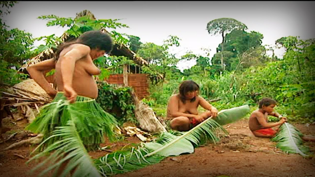 Animal Sapiens