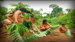 Animal Sapiens (full documentary)