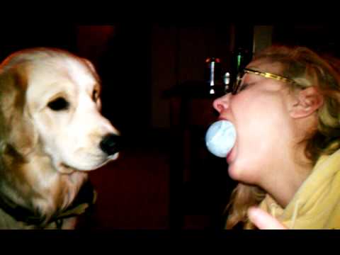 Drunken Dog Trick!