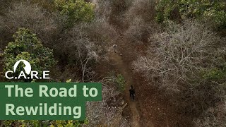 The Road To Rewilding - Release Conditions