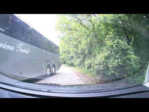 Nesimtire maxima (Cosava - Margina)