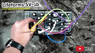 Video thumbnail for PITTSBURGH MODULAR LIFEFORMS SV-1b | Overview by moogaudio