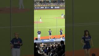 【Team Taiwan】#一粒 台湾VSチェコ交流試合(台灣捷克國際交流賽)@台北大巨蛋 20241103 #台湾チア #cheerdance #cheerleading  #teamtaiwan