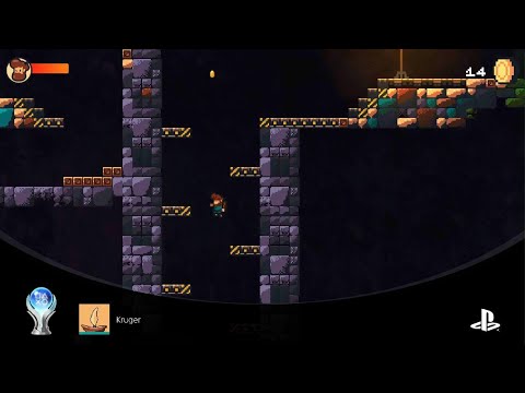 Kruger platinum trophy