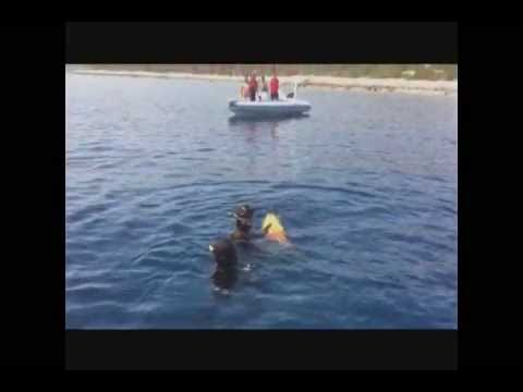 Πανελλήνιο Πρωτάθλημα Ψαροντούφεκου 2013