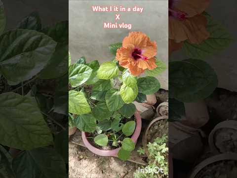 what I it in a day x mini vlog 😀🎀 (sunday/healthy)addition #minivlog  #chicken #flowers #shortvideo