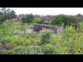 Growing My Own Fruit And Veg A Visit To My Allotment