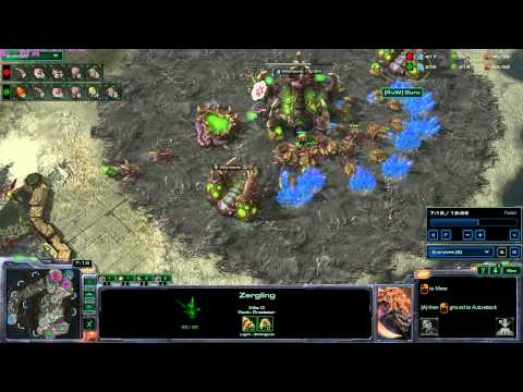 ESL StarCraft II Go4SC2 Cup #396 switch vs Guru