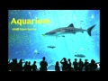 Aquarium - I Am Denmark HD 