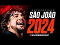 NATTAN - SÃO JOÃO 2024 - (MÚSICAS NOVAS) - REPERTÓRIO ATUALIZADO - NATHANZINHO JUNHO 2024