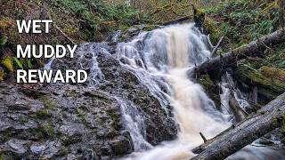 Mima Falls Loop: A Dark and Muddy Washington Rain Hike