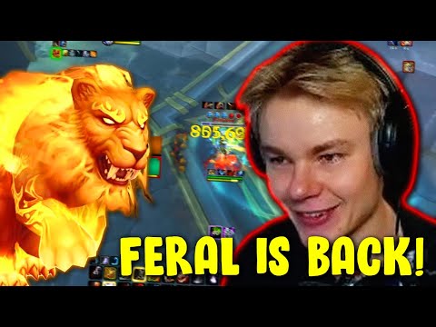Feral Druid Bleeds PUMP In Season 3 PvP | War Within