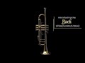 Bach Stradivarius 190-43 ML Tromba Bb Verniciata thumbnail 8