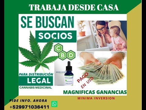 , title : 'Llegó El Negocio del CBD o Cannabis Medicinal'