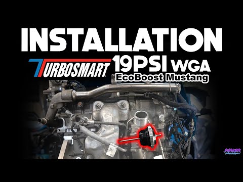 How to install a 19PSI Turbosmart Wastegate | 2015-2023  EcoBoost Mustang