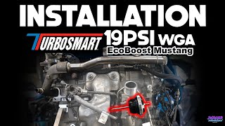How to install a 19PSI Turbosmart Wastegate | 2015-2023  EcoBoost Mustang