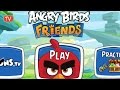 ANGRY BIRDS FRIENDS Angry Birds Tournament Angry Birds Game Walkthrough
