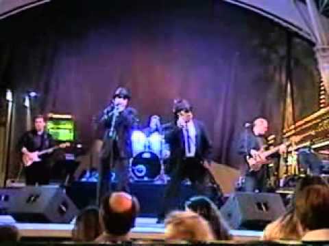 Promotional video thumbnail 4 for Stogee Blues