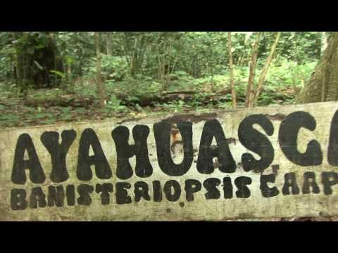 Afluentes - Trailer for ayahuasca documentary by João Meirinhos