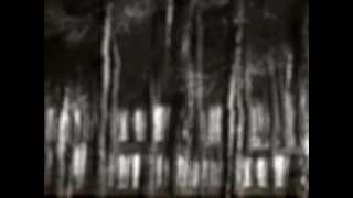 Sopor Aeternus - Collision