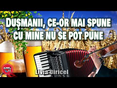 MUZICA DE PETRECERE – LIVIA DIRICEL - DUSMANII, CE-OR MAI SPUNE, CUM MINE NU SE POT PUNE