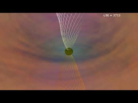 NSNS Align Align Highspin Full 3D