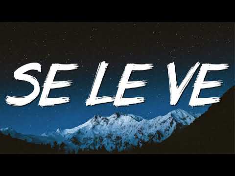 Dimelo Flow, Sech, Lenny Tavarez, Arcangel, De La Ghetto, Justin Quiles, Dalex ╸Se Le Ve