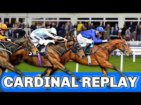 2023 Cardinal Condition Stakes Replay | BOLD ACT Wins Race, BRAVE EMPEROR Top European For KY Derby