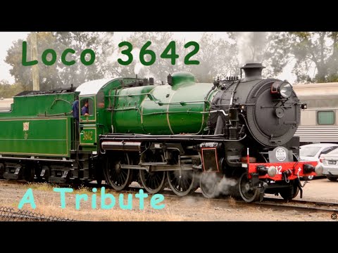 Australian Steam Trains - A Tribute to NSW Locomotive #3642