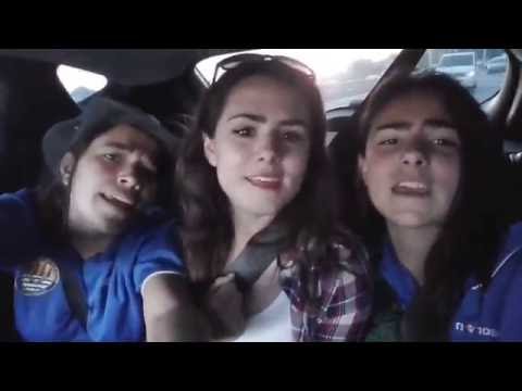 Seagull alevin 2015-2016