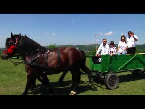 FLORIN JOLDEA   Ardeleana de Bihor