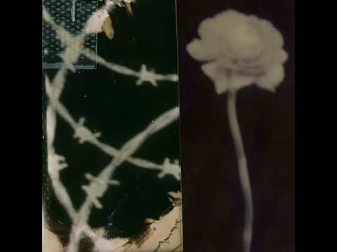 dress - hug & kiss (feat. MISO, fka, sogumm, Lydia Paek)