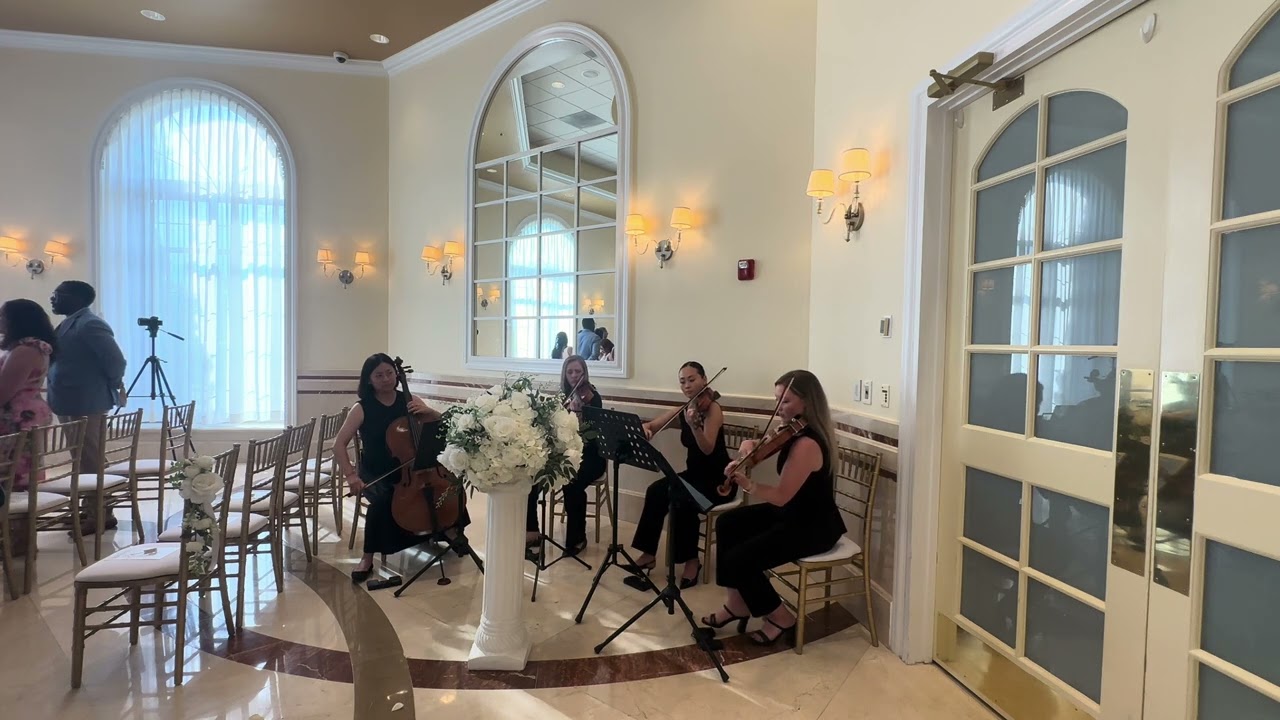 Promotional video thumbnail 10 for Piotrowski Strings