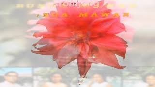 Download lagu Murtiati - Kr Bunga Mawar (OK Tjendrawasih) mp3 Download lagu Murtiati - Kr Bunga Mawar (OK Tjendrawasih) mp3