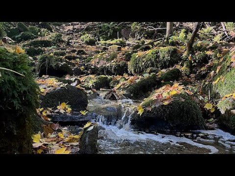 Wandern im Spessart - Triefenstein (Wasserfall)