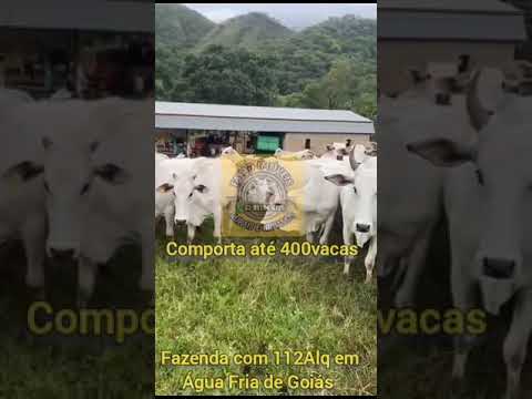 VENDE-SE EXCELENTE FAZENDA EM ÁGUA FRIA GOIÁS.ÁREA TOTAL 112 ALQUEIRES.