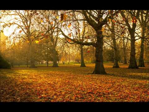 Ludwik x TomasBS - Szczerze