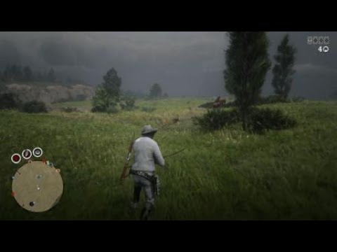 Red Dead Redemption 2 how to kill a player in there camp